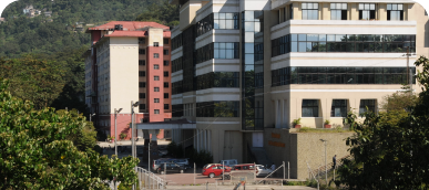 Manipal University Jaipur Online MBA